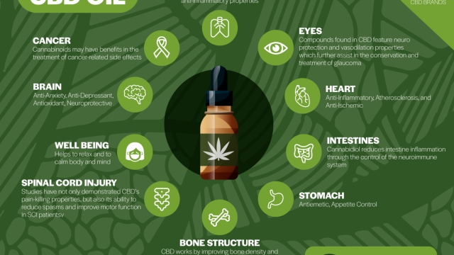 Unlocking the Healing Power: Discover the Benefits of CBD Products