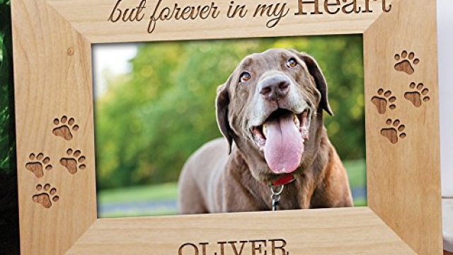 Furrever Remembered: Honoring the Lives of Beloved Pets with a Meaningful Memorial