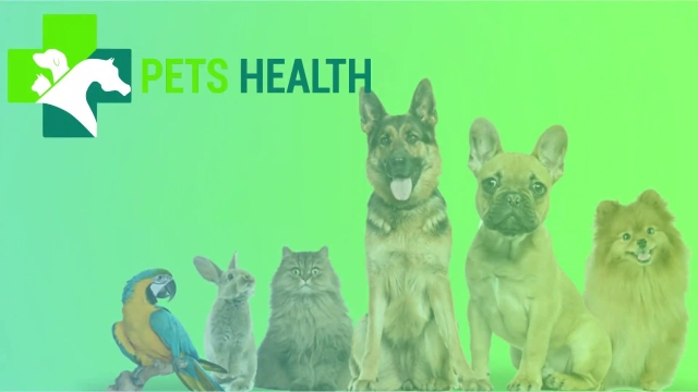 Pawsitive Steps for Optimal Pet Health: A Holistic Guide