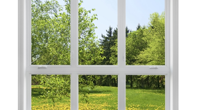 Revamping Your View: The Art of Window Replacement