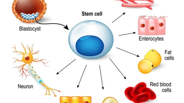 Revolutionizing Medicine: Unleashing the Potential of Stem Cell Therapy