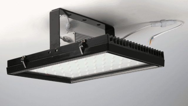 Shedding Light on the Future: The Evolution of Industrial Lighting