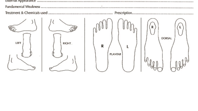 Stepping Towards Healthy Feet: Exploring Forest Hills Podiatry