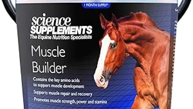 The Essential Guide to Boosting Horse Health with Supplements