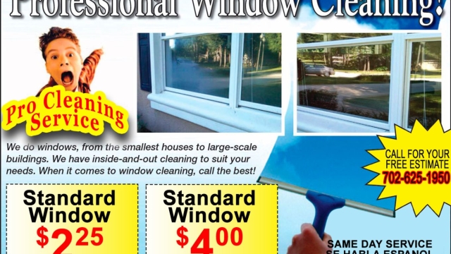 Crystal Clear Solutions: Mastering the Art of Window Cleaning