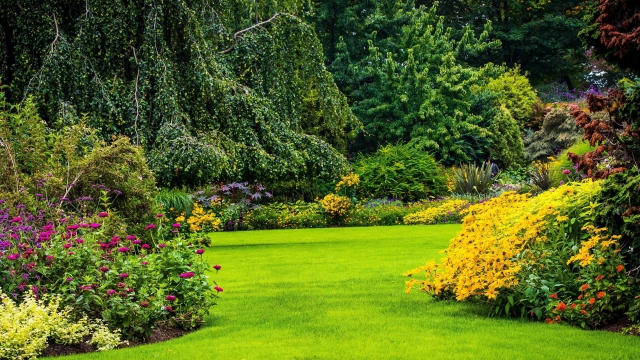 7 Creative Landscaping Ideas to Transform Your Lawn
