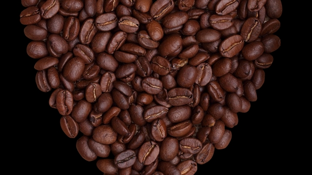 Brewing Excellence: Unveiling the Secrets of Organic Coffee Beans