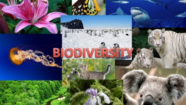 Exploring the Rich Tapestry of Life: Ecology and Biodiversity