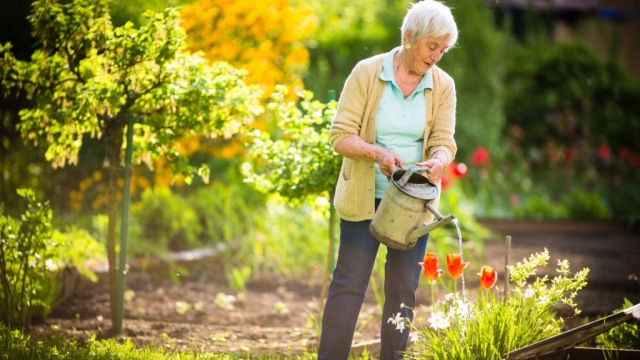 From Seeds to Serenity: Unleashing Your Inner Gardening Guru