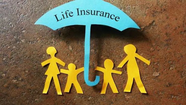 Insuring Your Peace of Mind: A Guide to Insurance Services